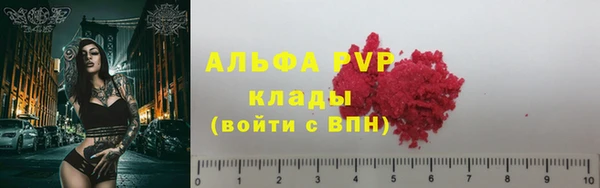 PSILOCYBIN Краснослободск