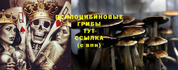 PSILOCYBIN Краснослободск