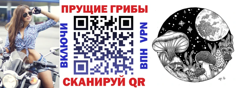 Псилоцибиновые грибы Psilocybine cubensis  Таганрог 