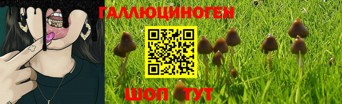 Псилоцибиновые грибы Magic Shrooms  Вход с VPN  Таганрог 